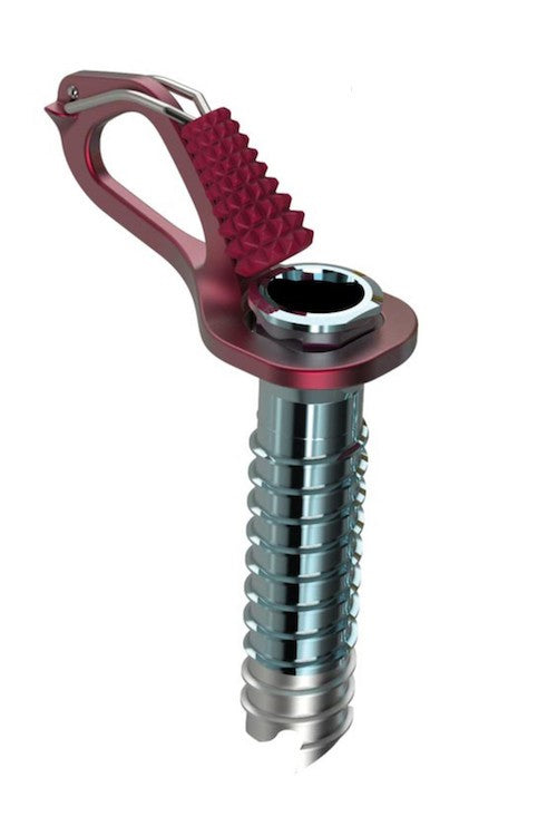 Blue Ice Aero Lite Screw (10cm) Red|1693