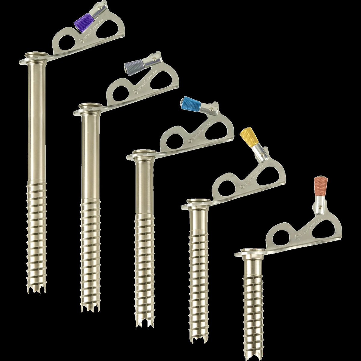 Black Diamond Express Ice Screw