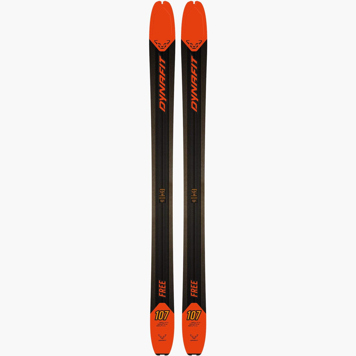 Dynafit Free 107 Skis