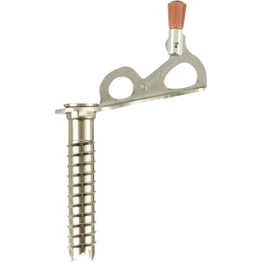 Black Diamond Express Ice Screw