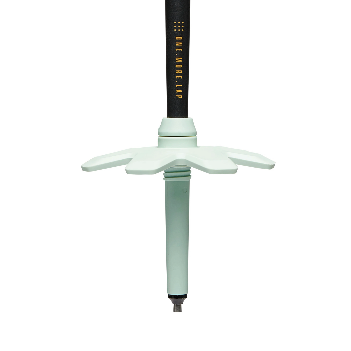 Black Diamond Traverse Pro Ski Poles