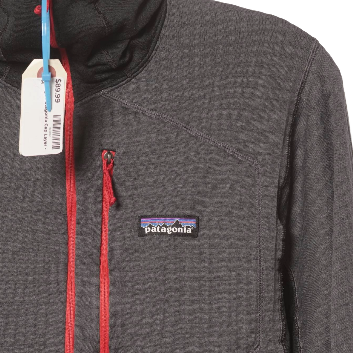 Patagonia R1 Pullover Hoody - Men's