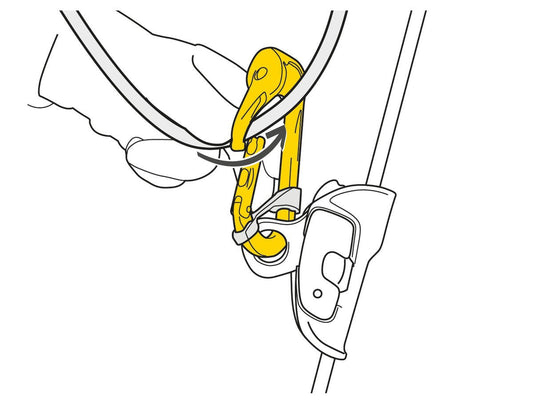 Petzl Rollclip A Carabiner - The Gear Room