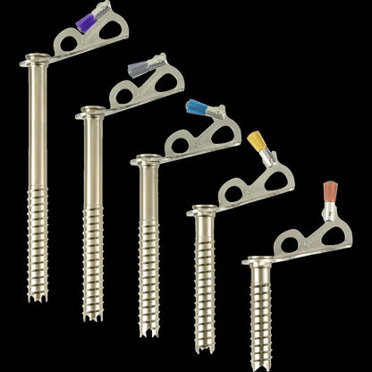 Black Diamond Express Ice Screw