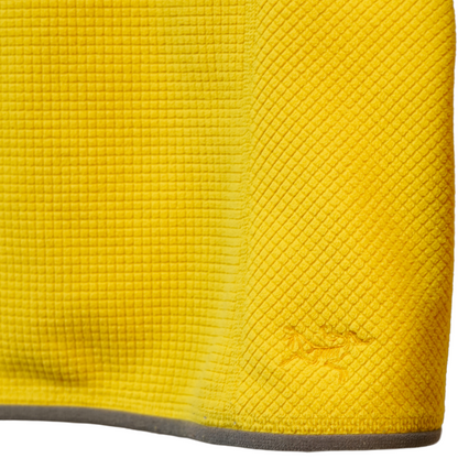 Arc'Teryx Vintage Delta Half-Zip Fleece - Women's (S)