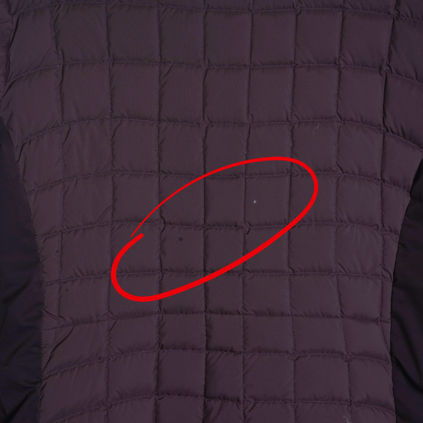 Arc'teryx Puffy Jacket - Women's (L)