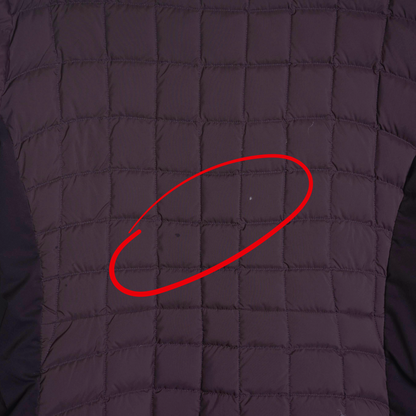 Arc'teryx Puffy Jacket - Women's (L)