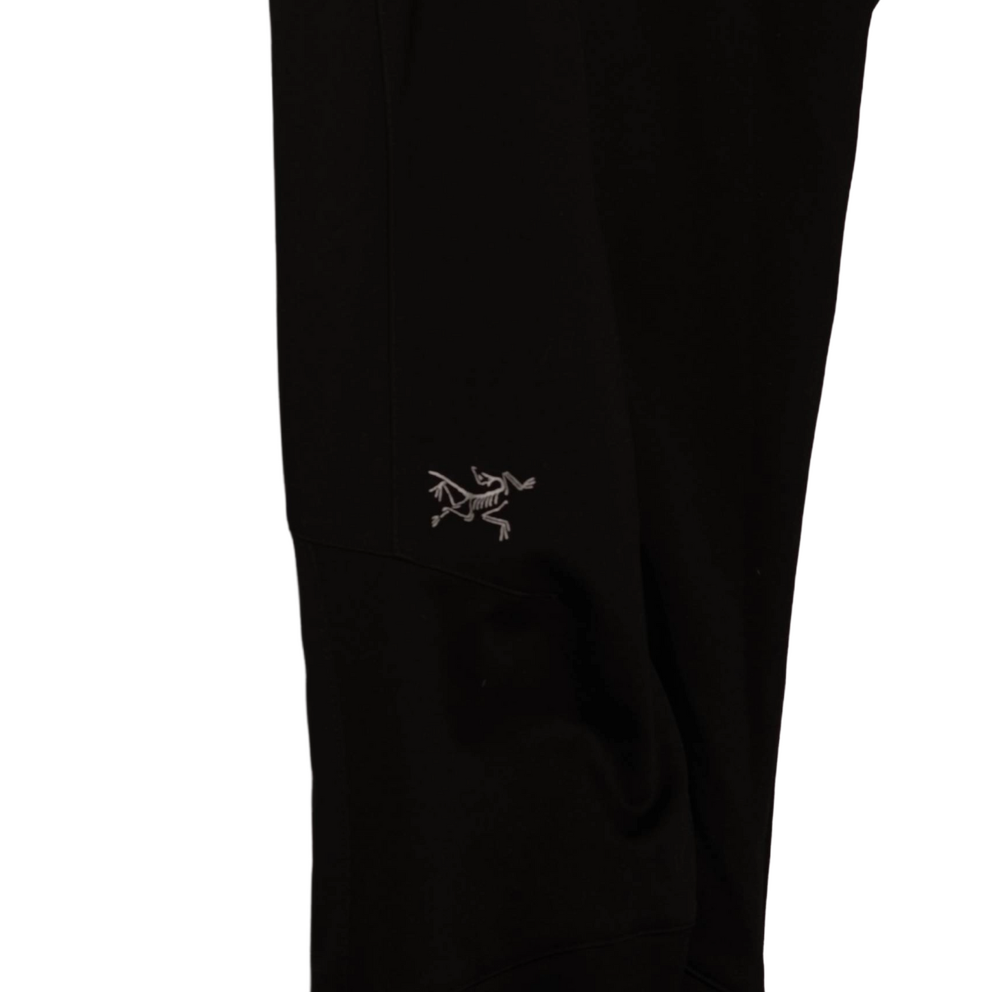 Arcteryx Windstopper Pants - Women's (L)