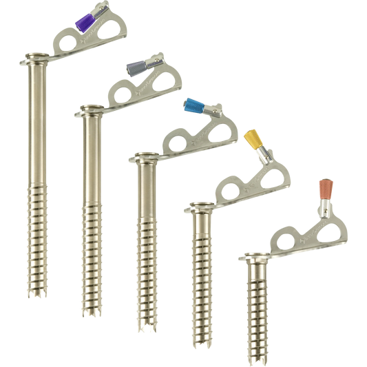 Black Diamond Express Ice Screw