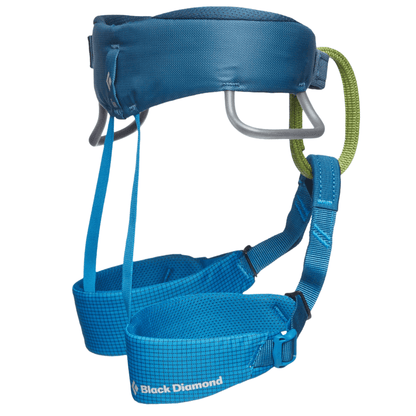 Black Diamond Momentum Harness - Kids' (One Size) - The Gear Room