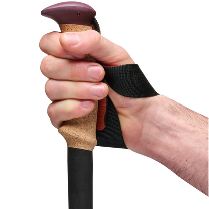 Black Diamond Trail Cork Trekking Poles