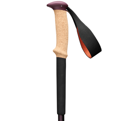 Black Diamond Trail Cork Trekking Poles - The Gear Room