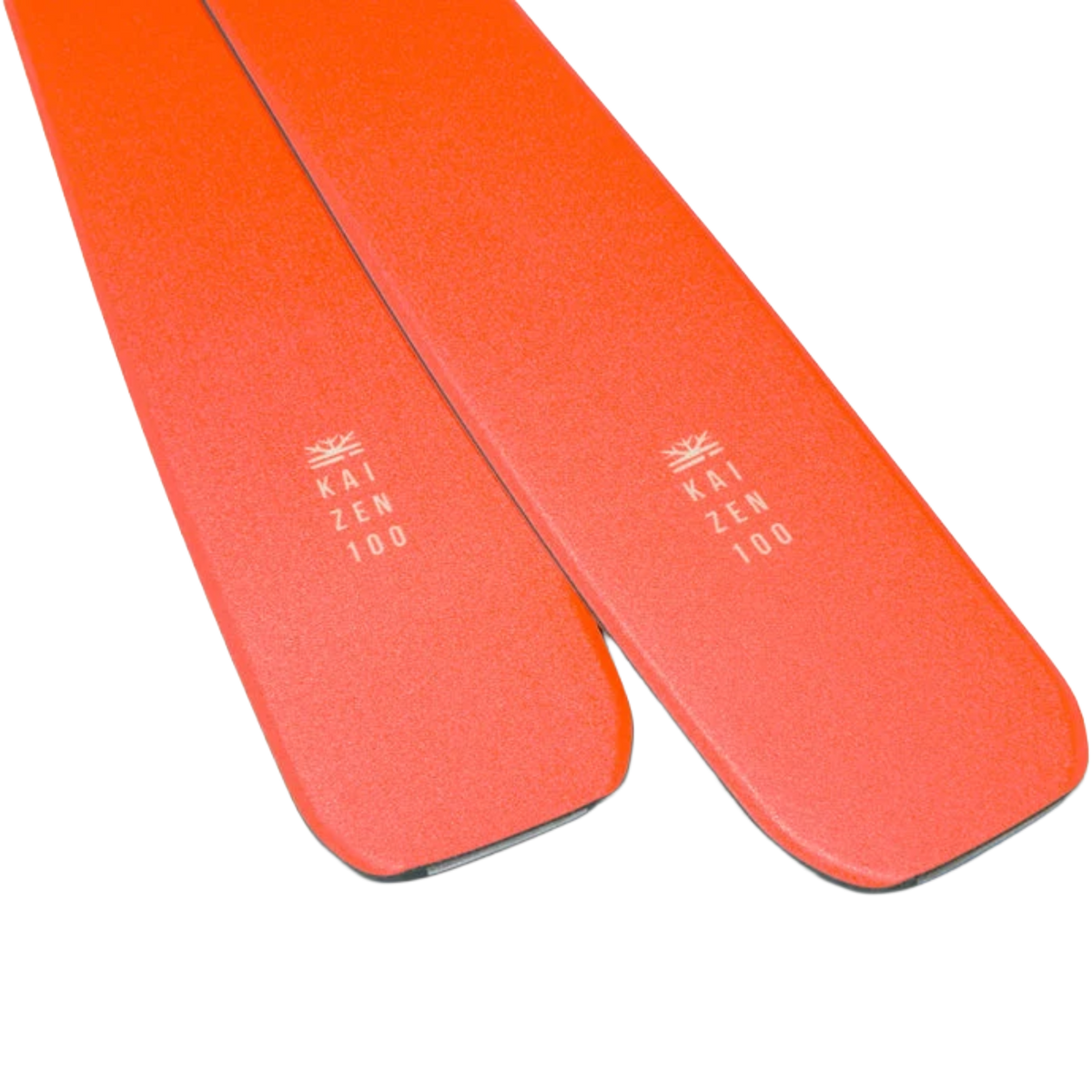 DPS Carbon Kaizen 100