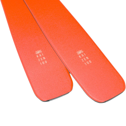 DPS Carbon Kaizen 100