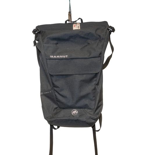Mammut Xeron Courier Backpack - 20L