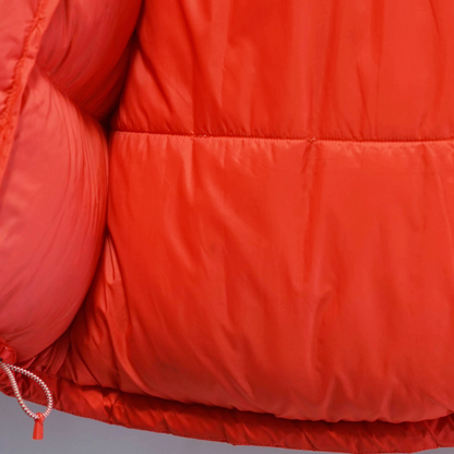The North Face Himalayan 800 Down Parka - Men's