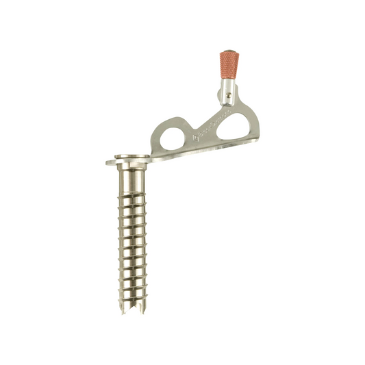Black Diamond Express Ice Screw